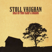 American Lie by Stoll Vaughan