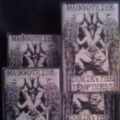 DURIK THE TEMPTRESS / MAGGOTRIBE Split C30
