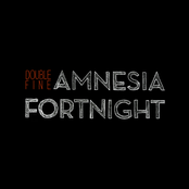 Amnesia Fortnight 2012