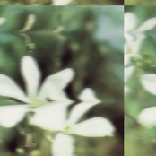 darling, you're sweet