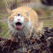 Swastikat Swastikore