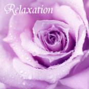 relaxing sounds of nature white noise 4 mindfulness meditation relaxation specialists