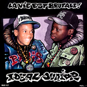 La Vie Est Brutale