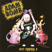 Adam Bomb: Get Animal 2