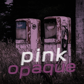 Bringing Back The Humans