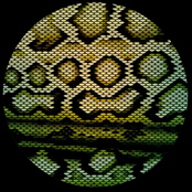 Boomslang/ Zharp