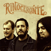 Rinoceronte