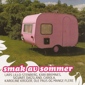 Smak Av Sommer