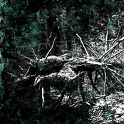 Шумоизоляция / Ante Hominem