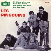 les pingouins