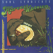 Jam Down Rock by Soul Syndicate