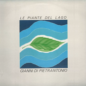 Le Piante Del Lago