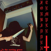 In The Rotting Grave