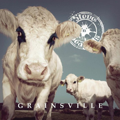 Steve 'n' Seagulls: Grainsville