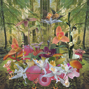 Monster Rally: Return to Paradise