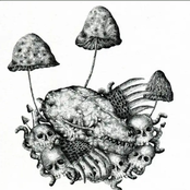 Split with ナンプラーちゃん