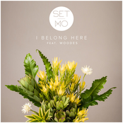 Set Mo: I Belong Here