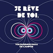 Voltaremos para os campos