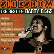 Barry Biggs - Wide Awake in a Dream
