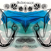 Cobra Cega
