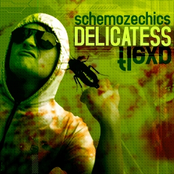 schemozechics flexp