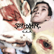 Skozhanae stanovishcha vantrobau