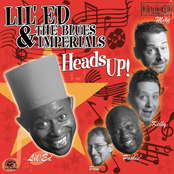 Lil' Ed and The Blues Imperials: Heads Up!