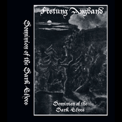 Dominion of the Dark Elves