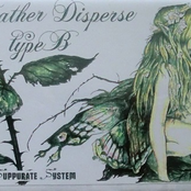 Feather Disperse type B