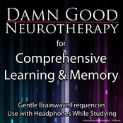 Damn Good Neurotherapy: Comprehensive Learning and Memory