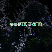 Animals, like us