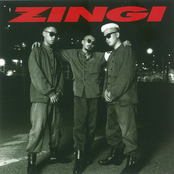 ZINGI