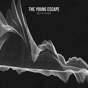 The Young Escape: neverfade