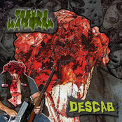 Techno Waterpark / Descab