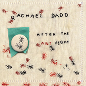 After The Ant Fight by Rachael Dadd