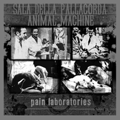 Pain Laboratories (split w/Animal Machine)