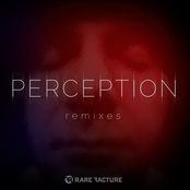 Perception Remixes