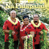 Na Palapalai: The Best Of Na Palapalai