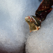 Castles (Daniel Avery Remix)