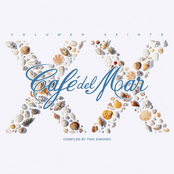 Café del Mar: Volumen Veinte
