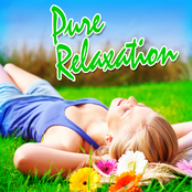 Pure Relaxation: for Relaxing, Stress Relief, Yoga and Tai Chi