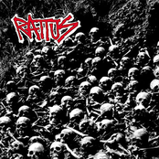 Rattus Compilation (Re-Release)