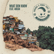 What Dem Know