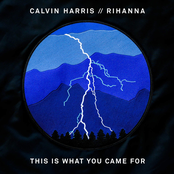 Calvin Harris: This Is What You Came For