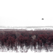 Remote Past