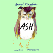 Animal Kingdom