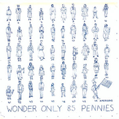 Wonder Only 85 Pennies