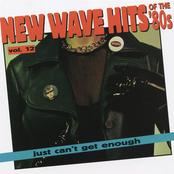Just Can't Get Enough: New Wave Hits of the 80's, Vol. 12