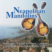 Neapolitan Mandolins