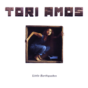 Precious Things by Tori Amos